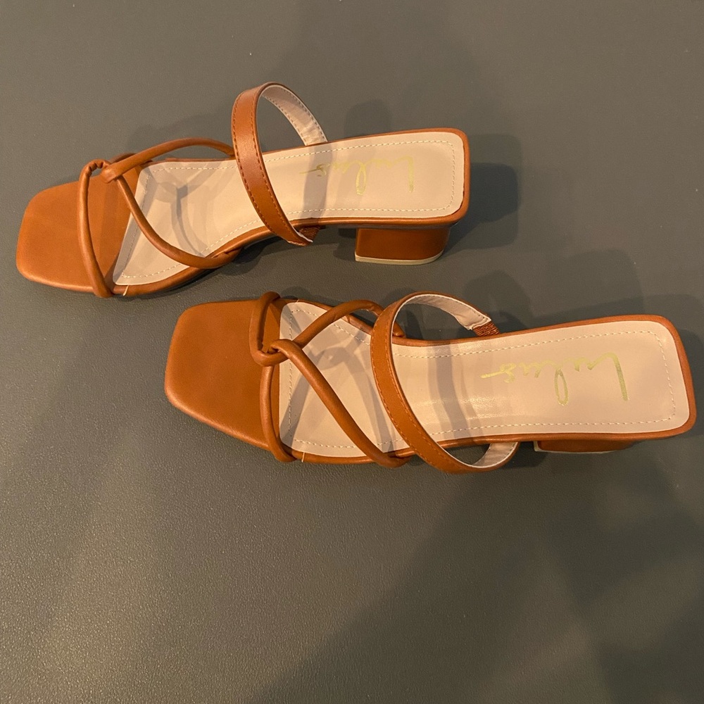 Sandals cognac color. Gently used. Size 6.